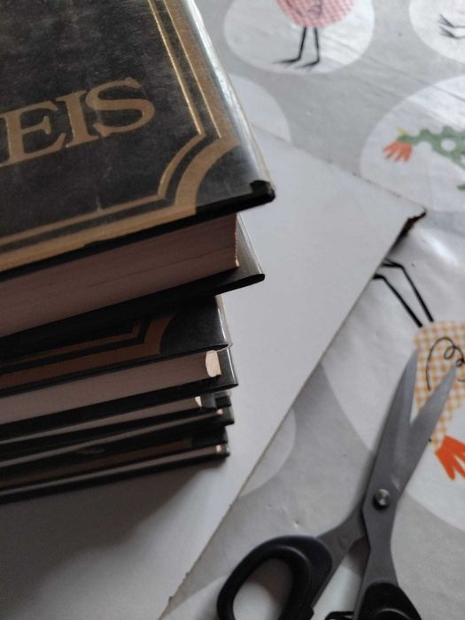 Os Miseráveis, Victor Hugo