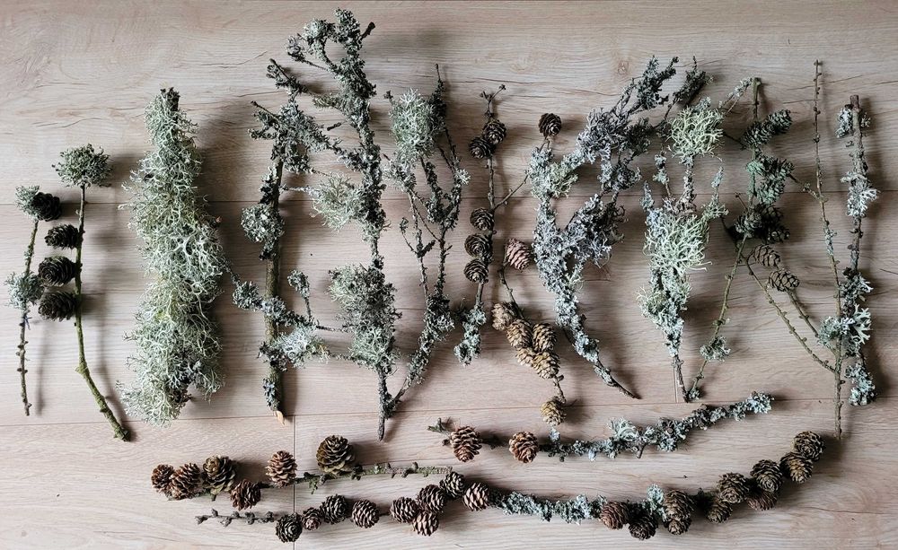 gałązki z mchem i szyszki, mech z szyszkami artykuły plastyczne