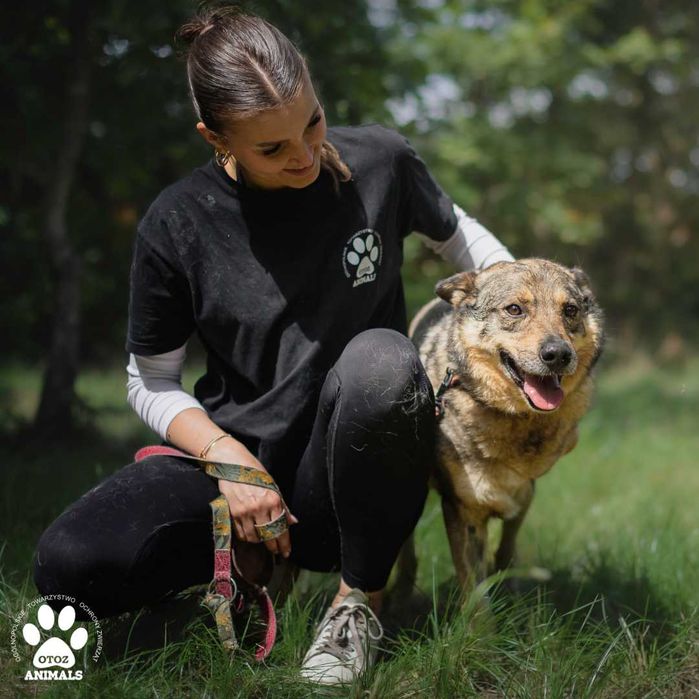 Dzielny Dżeki czeka na nowy dom!