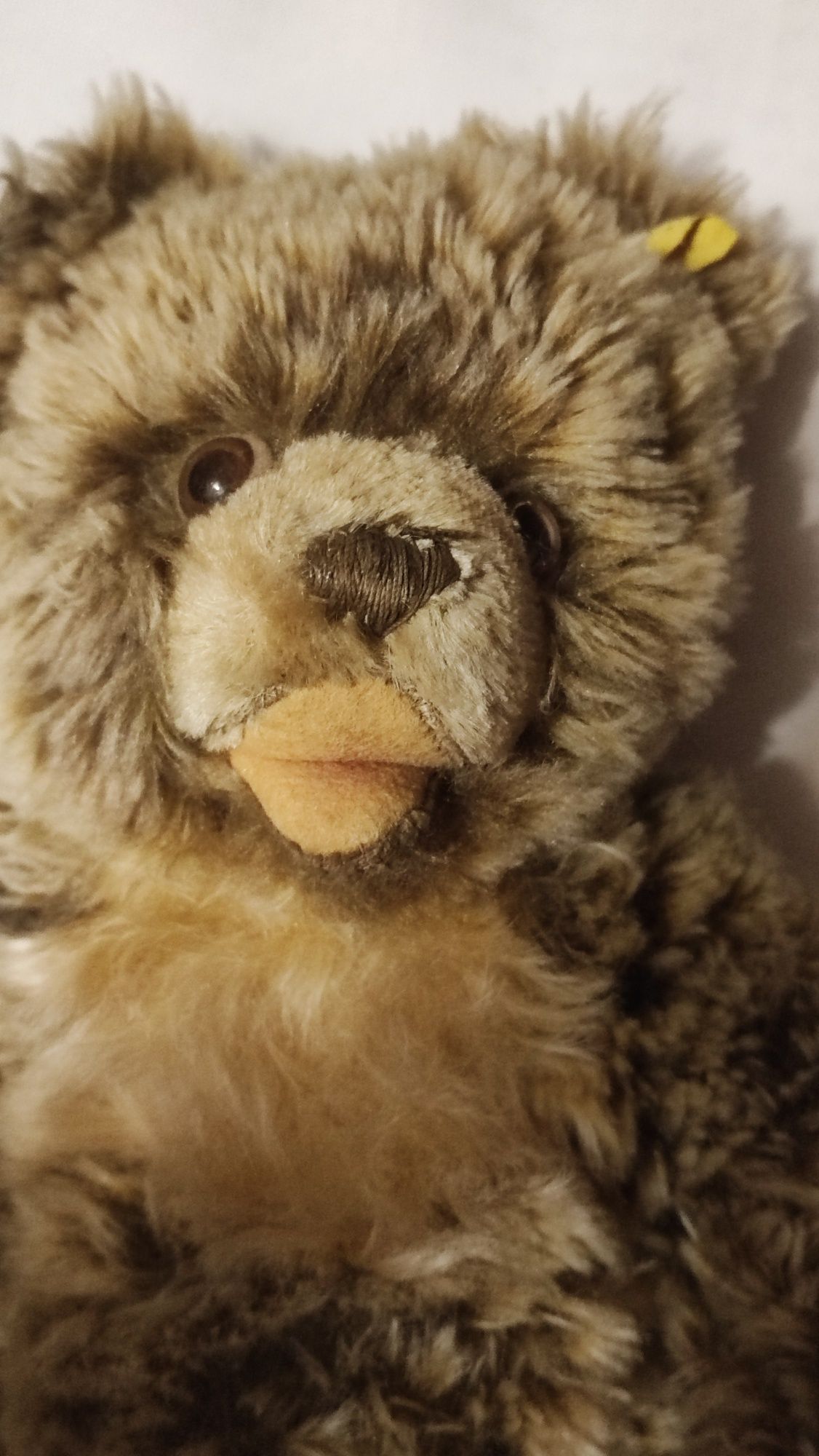 Очаровательный мишка Zotty от Steiff