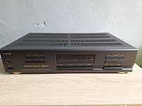 Diora Amplituner WS 502