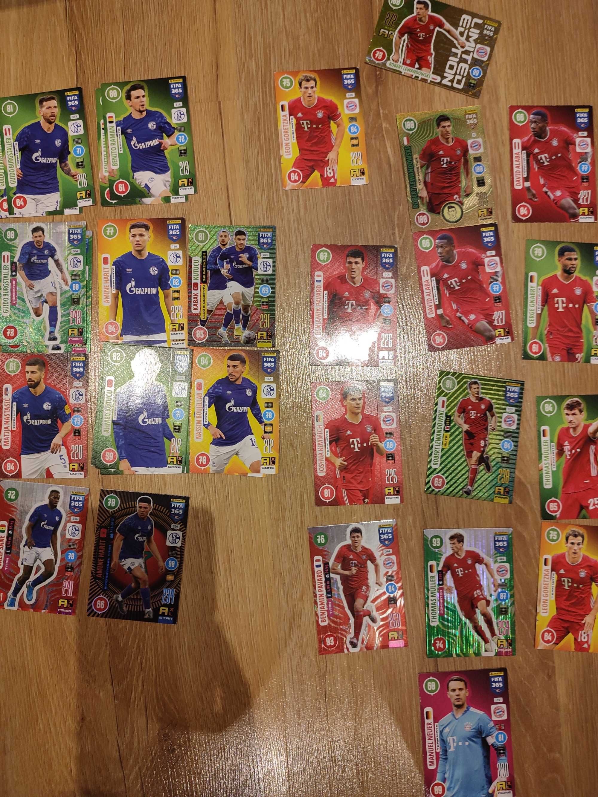 Panini 2021 karty