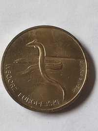 Moneta Węgorz Europejski 2 zł 2003r.