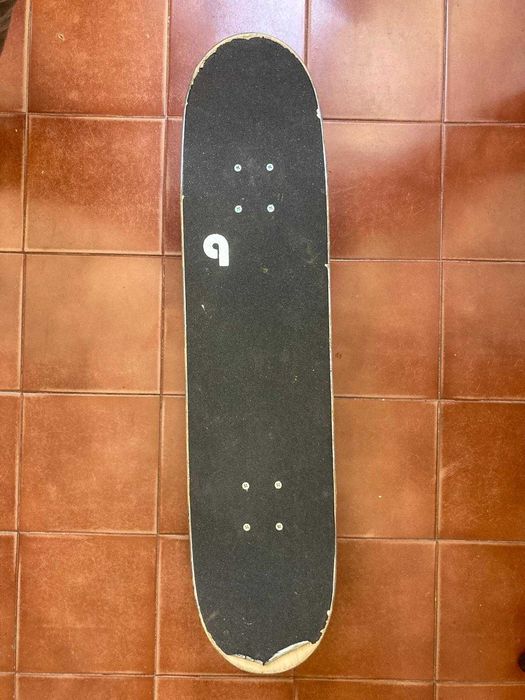 Skate birdhouse Tony Hawk