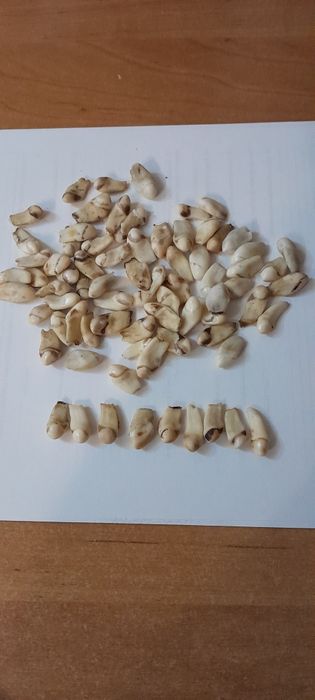 Sprzedam grandle 75 szt nadające się na biżuterię z motywami myśliwski