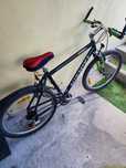 Rower gòrski 19"