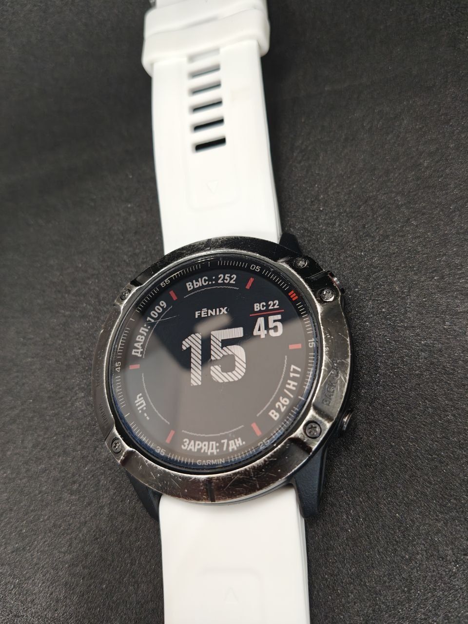 Garmin fenix 6x pro