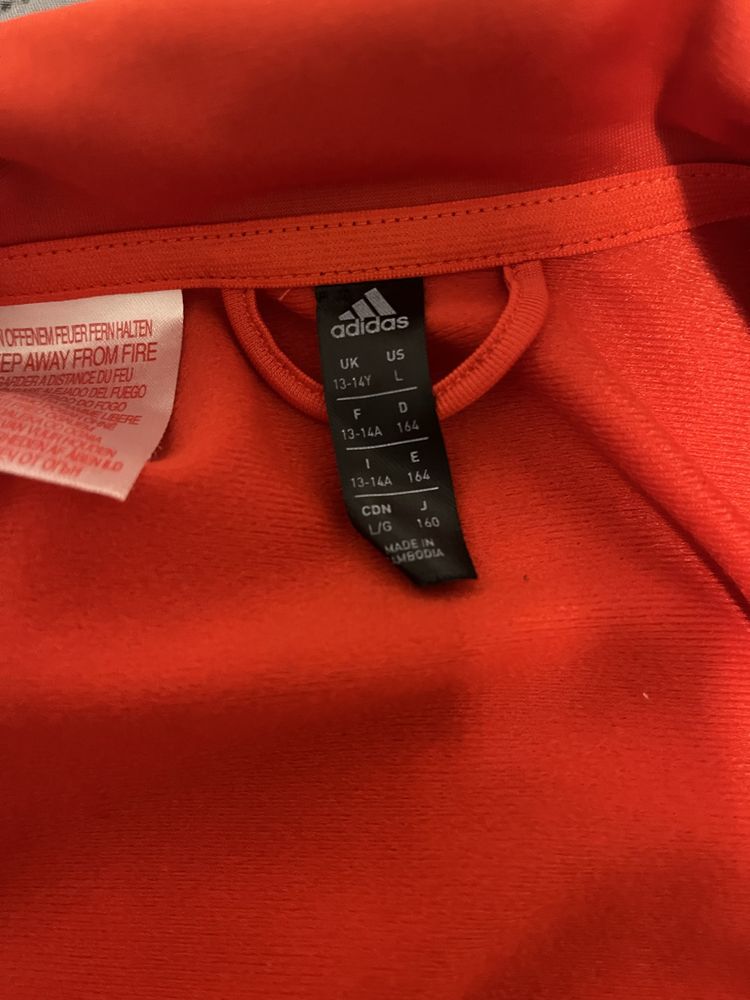 Casaco adidas novo