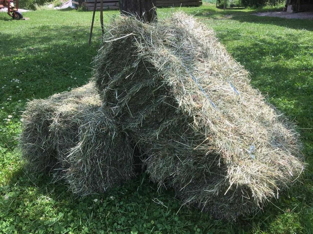 Siano dla koni małe bele kostka Kurczak kure Króliki