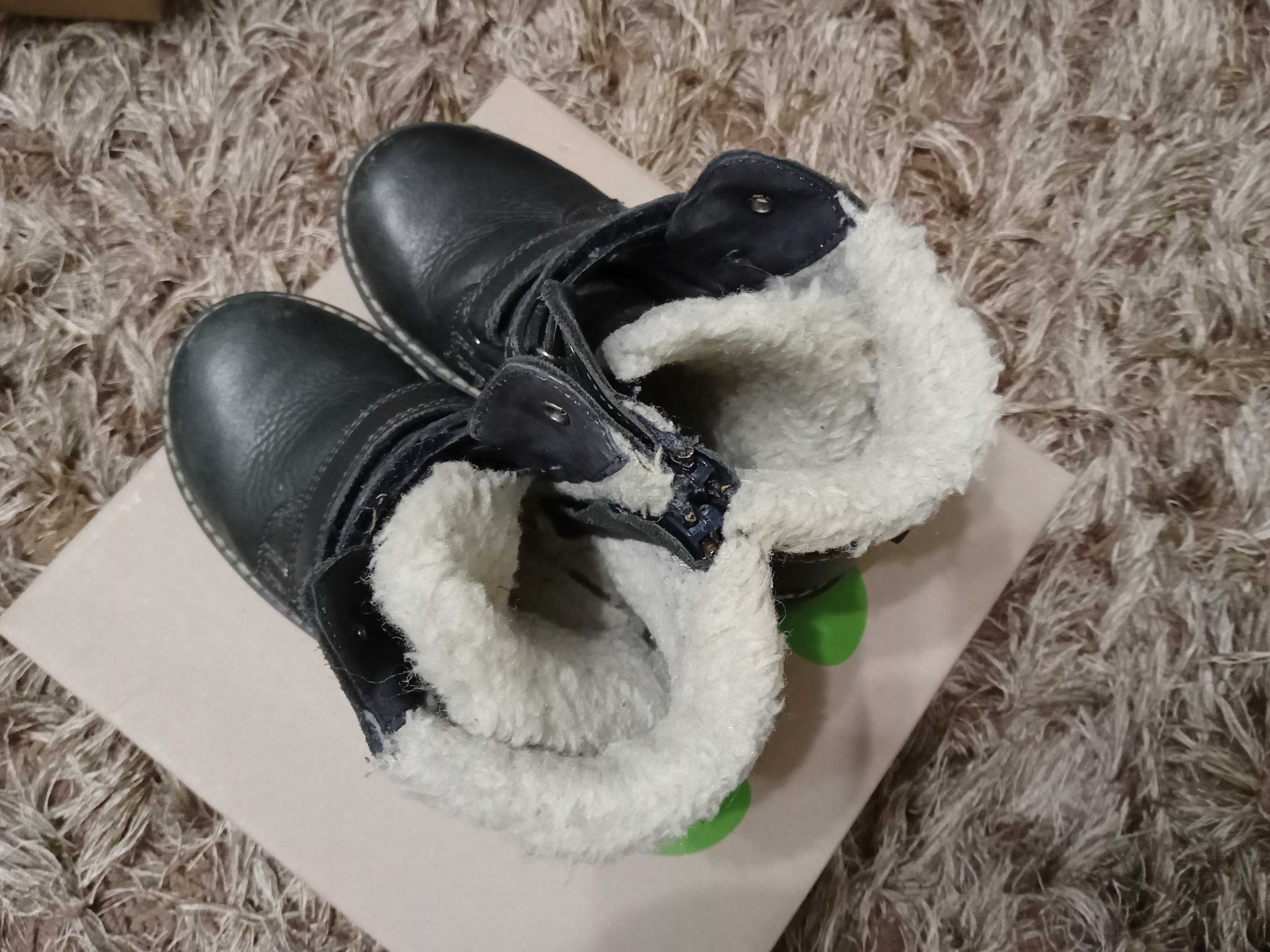 Kozaki Lasocki r. 28