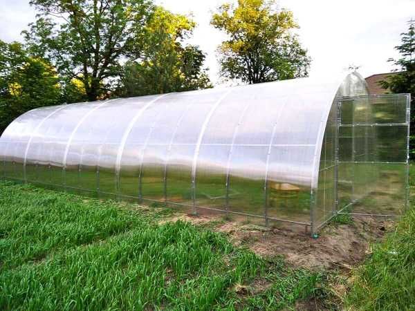 Szklarnia Tunel Ogrodowy 4x4 4x6 4x8 Poliwęglan 4mm / 6mm Prof.40x20mm