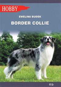Border collie - Ewelina Budek ~ NOWA