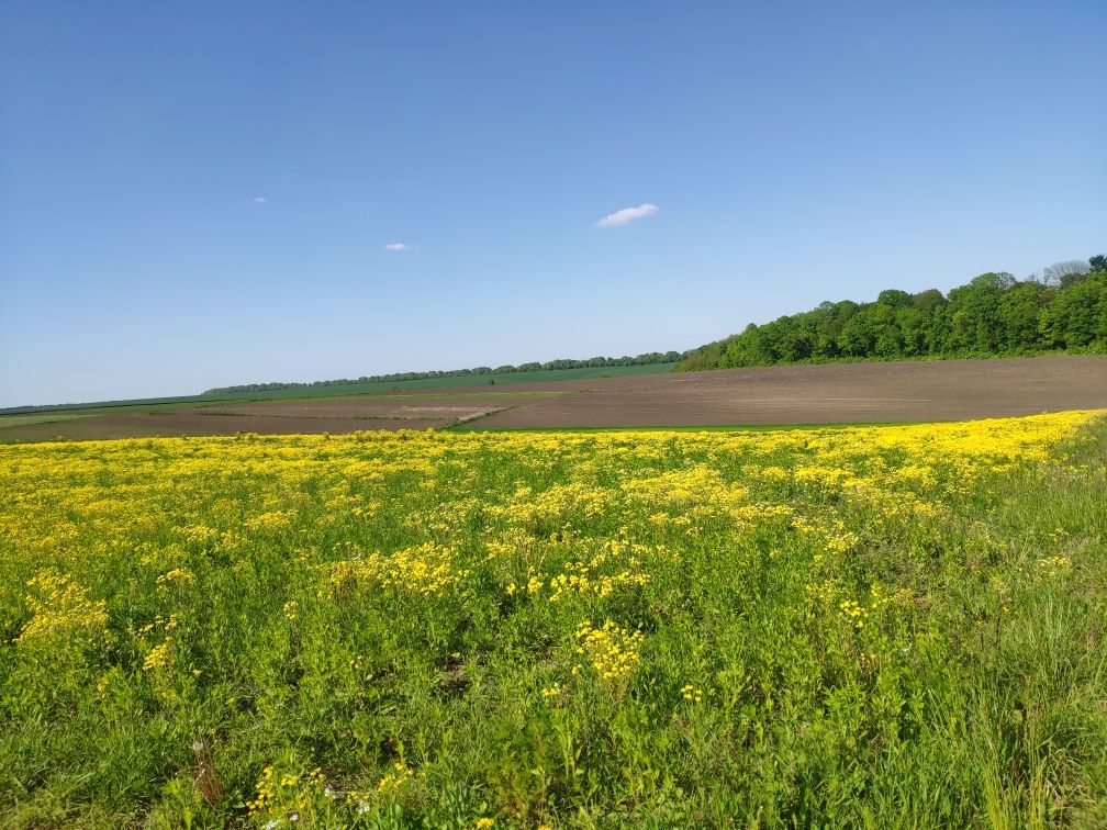 Продаж 20сот...Обмін на авто..