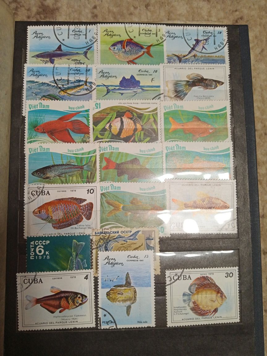 Колекція    марок