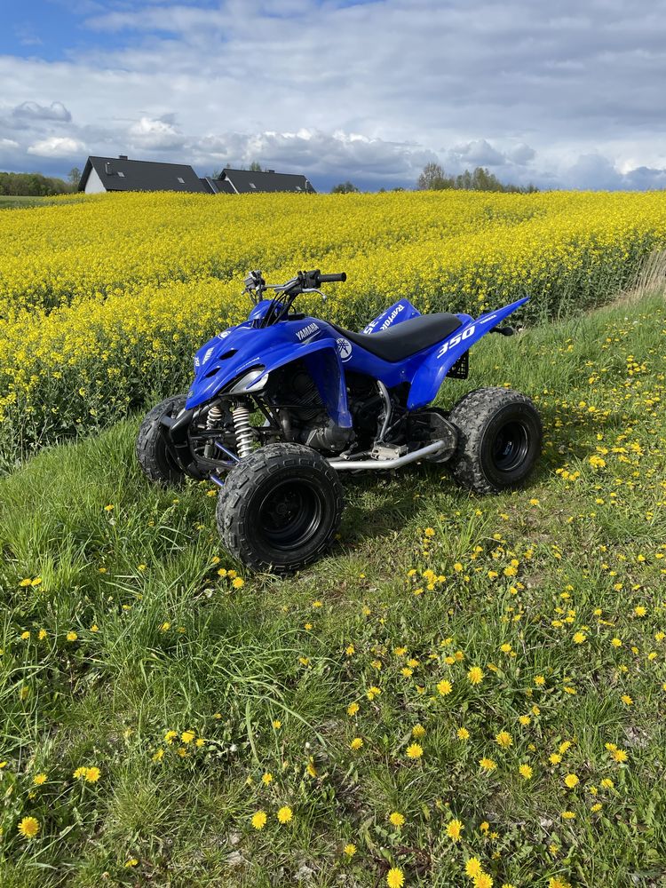 Quad Yamaha raptor 350