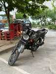 Mustang Dingo mt125