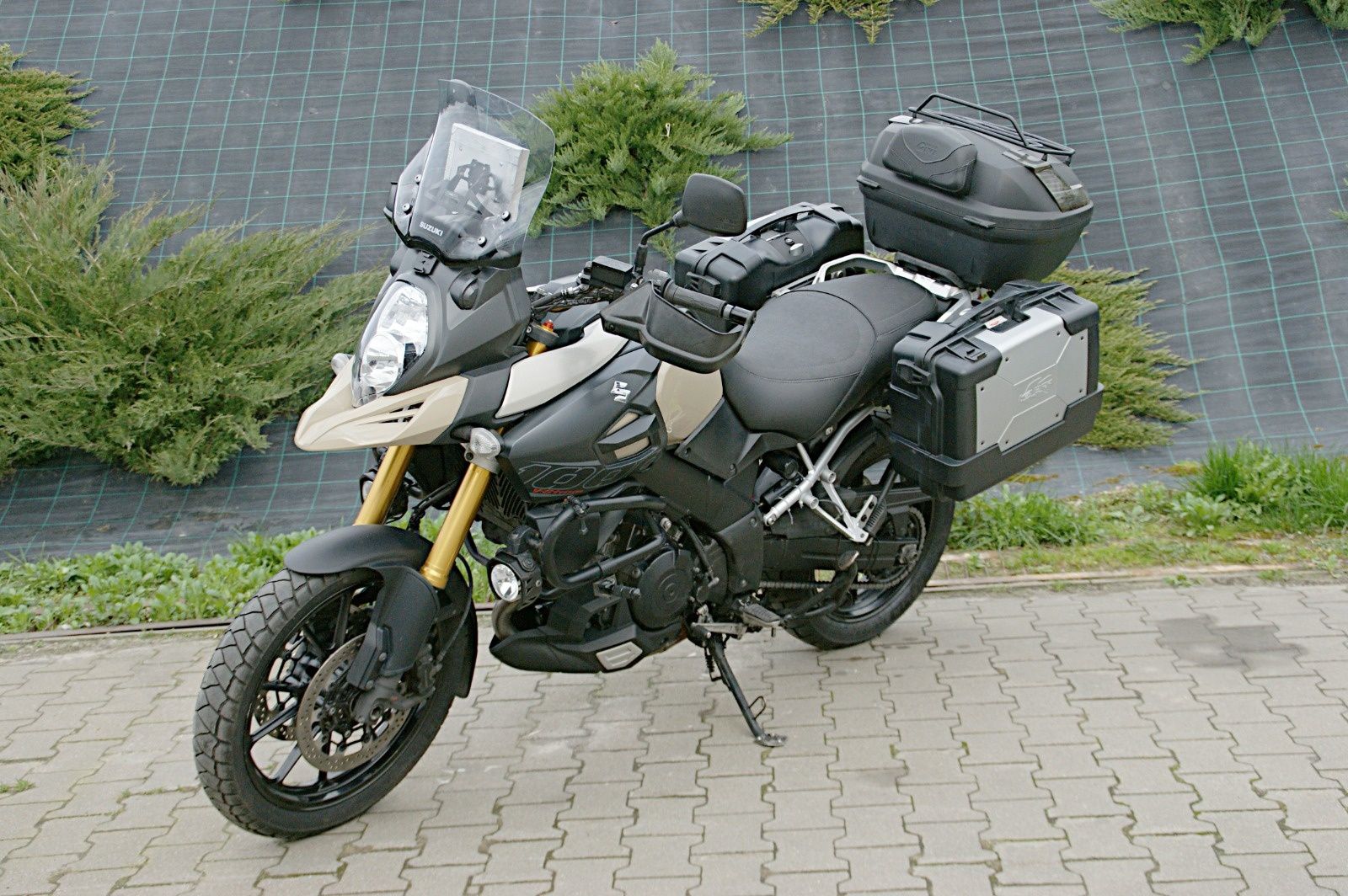 SUZUKI    DL1000