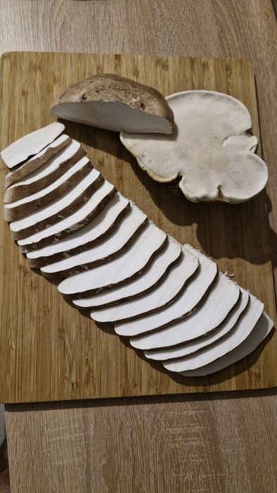 Pniarek (białoporek) brzozowy.