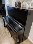 Pianino Ed Seiler