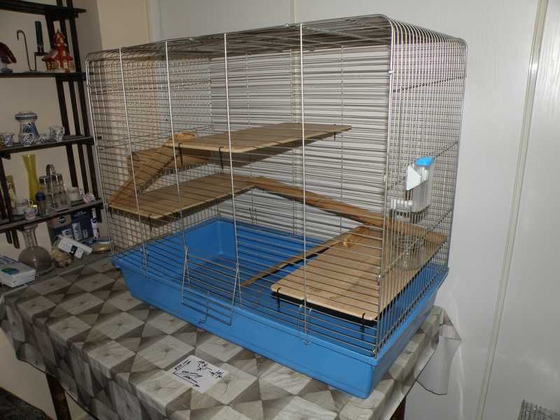 Obszerna klatka "100" szynszyl itp - Wrocław