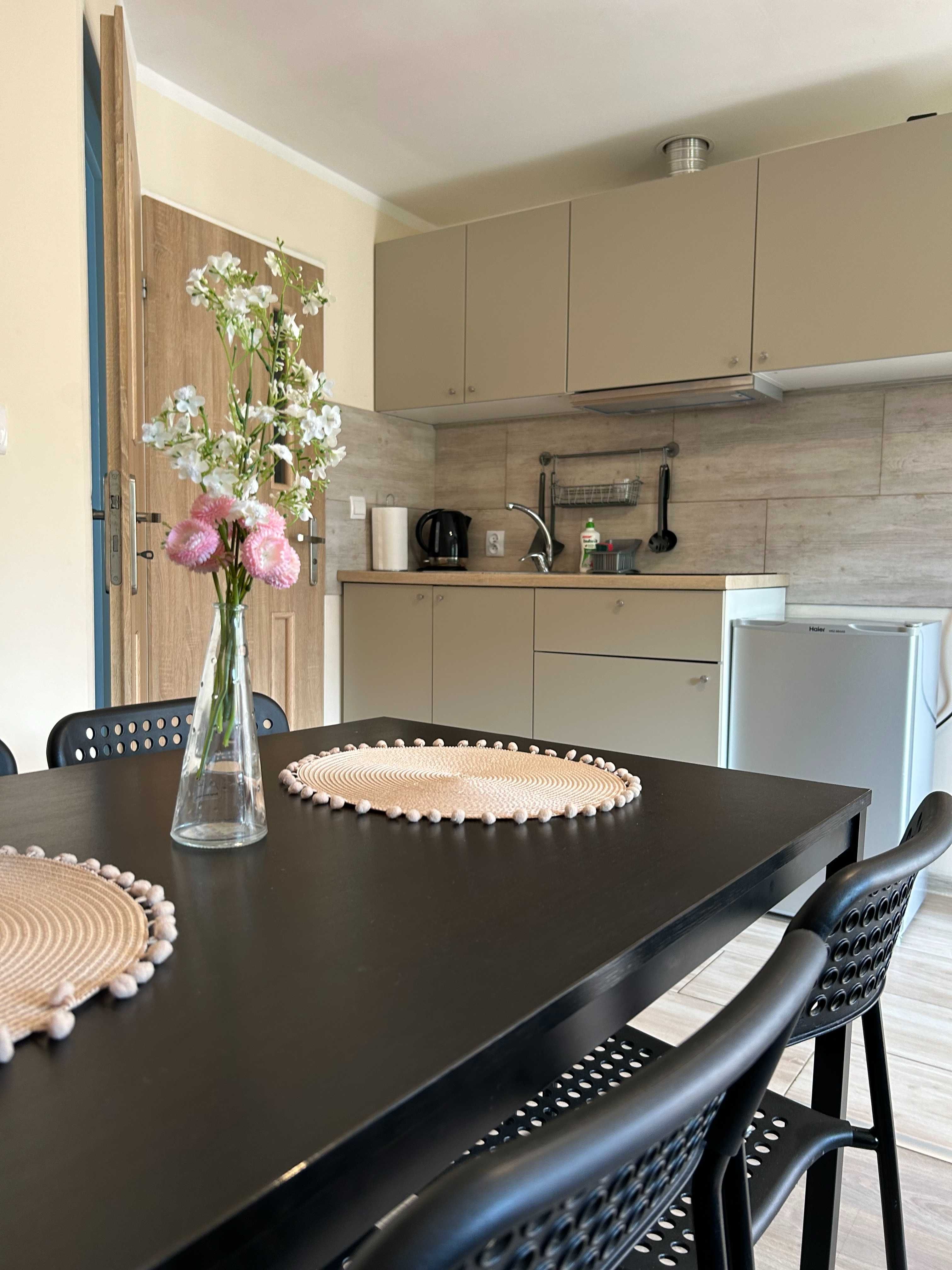 Apartament Giżycko, Noclegi centrum, mieszkania z ogrodem