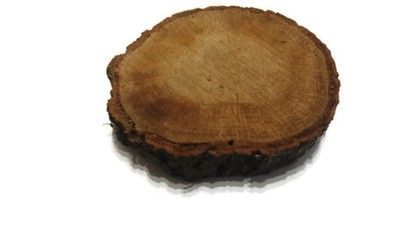 Dąb plastry drewna na taras ścieżka chodnik Dębowe