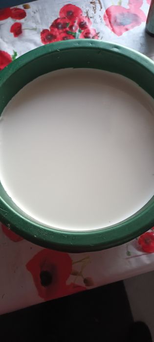 Sprzedam kozie mleko