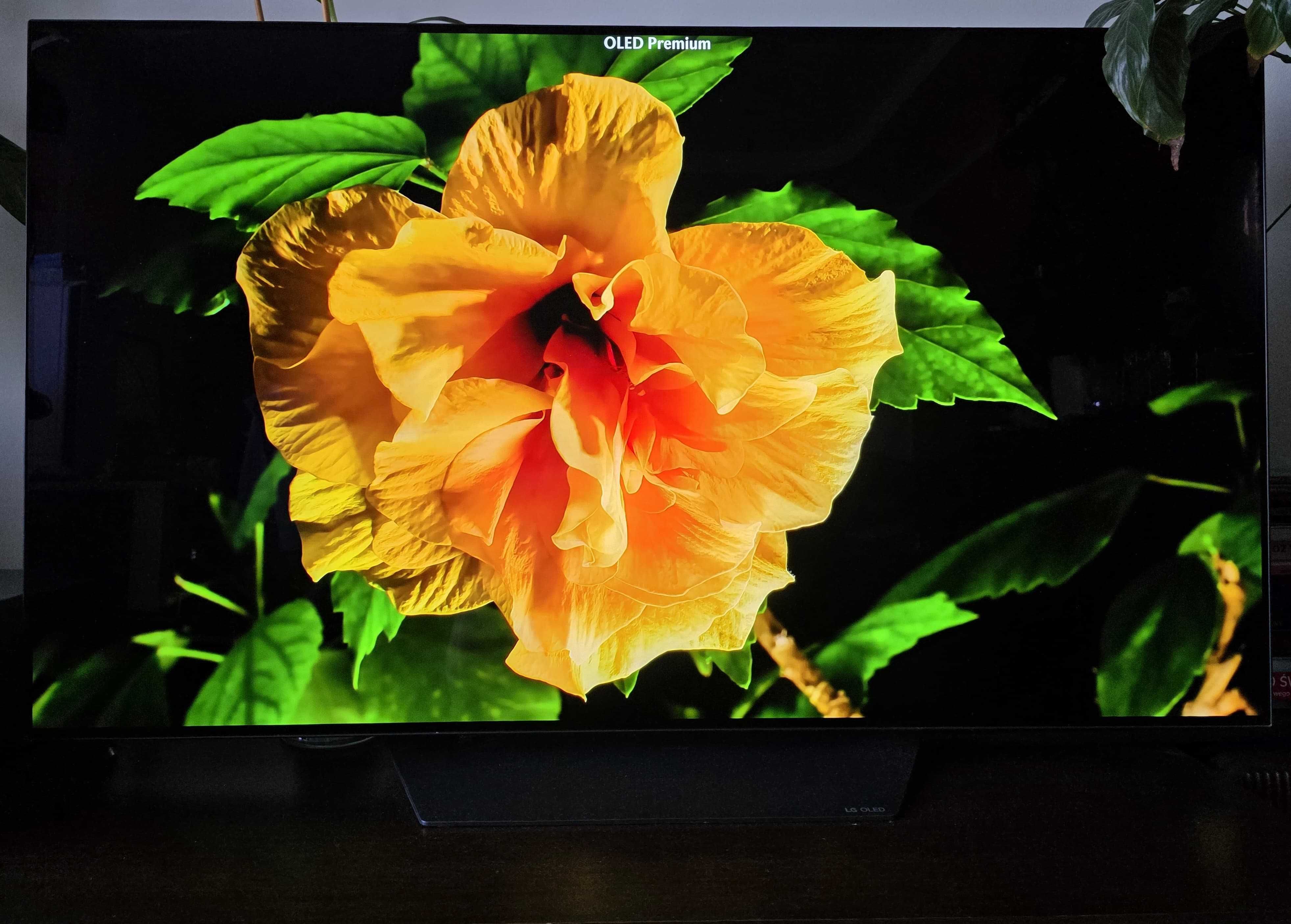 Fantastyczny LG OLED 55" B9, 120Hz, HMDI 2.1. w bardzo dobrym stanie.