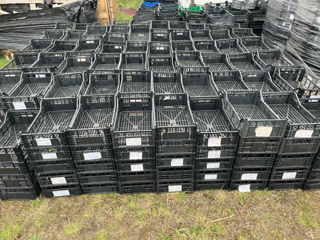 Skrzynki plastikowe po rzodkiewce  50x30x14cm 10000 sztuk