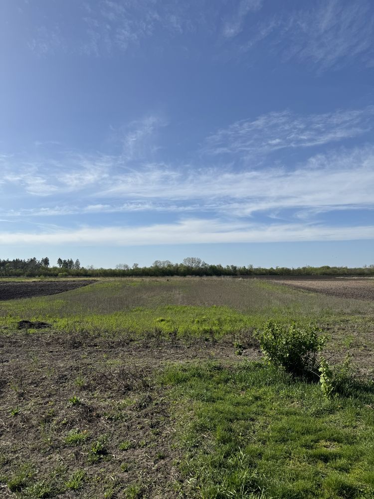 Срочно продам будинок в Байбузах(Закревки),Черкаська обл.