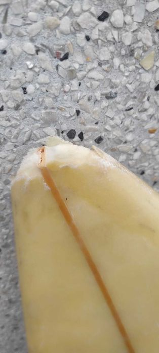 Prancha de surf para decoração