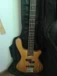 Washburn Taurus T14