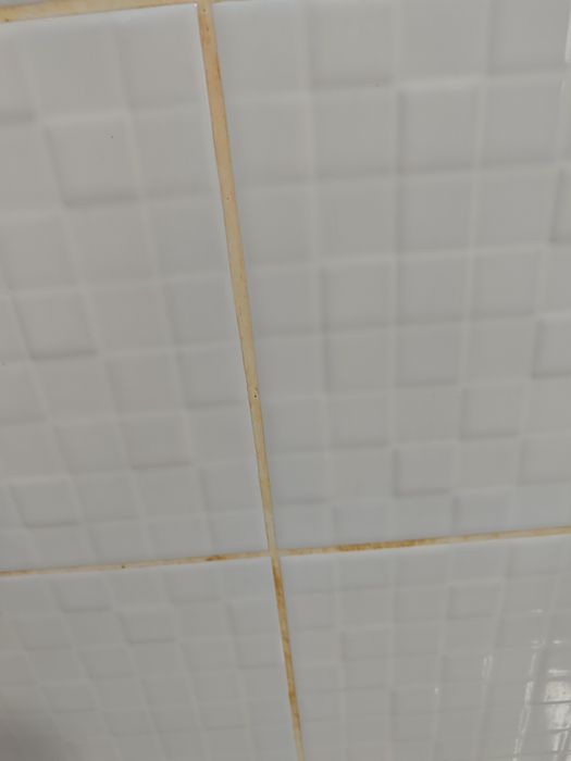 Прибирання квартир, будинків, після ремонту , генеральне Дніпровський