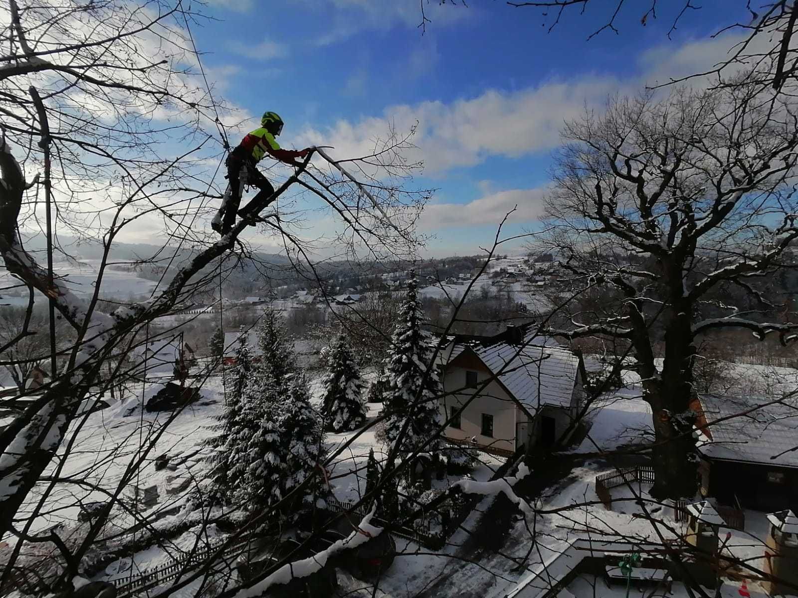 WYCINKA i PIELĘGNACJA DRZEW - dostęp linowy, pielęgnacja ogrodów