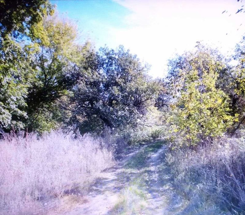 Земельна ділянка під забудову 10 соток у с. Музичі