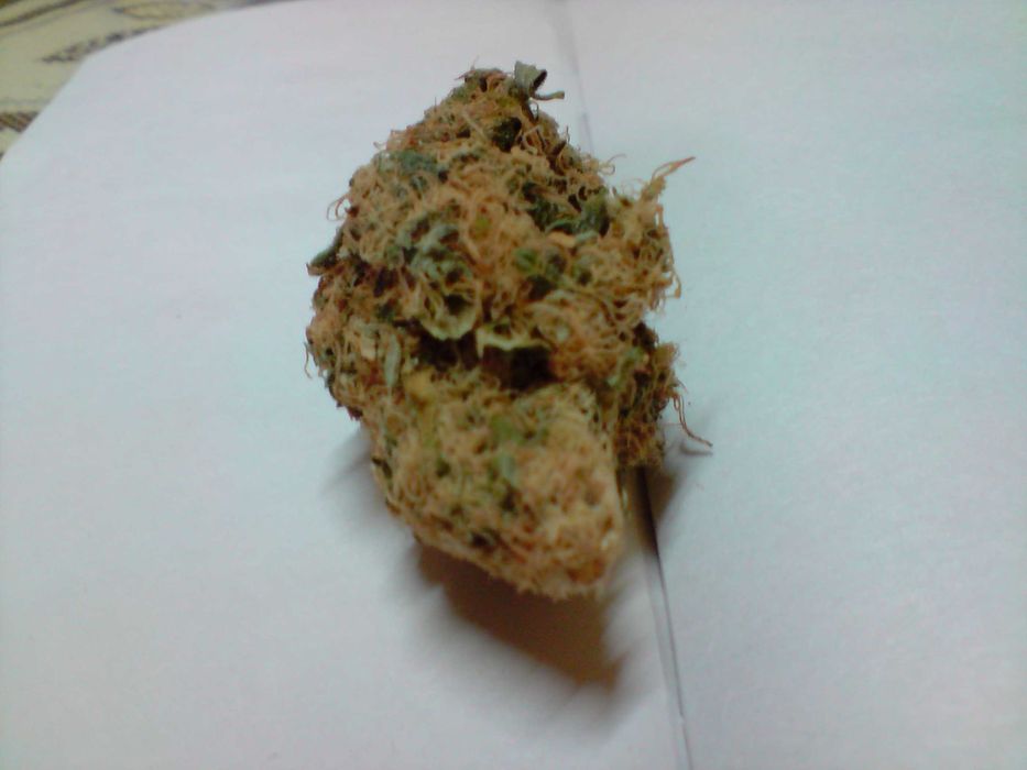 1g Trainwreck  Susz Roślinny cbt cbl cbc Raj Haj z Kaliformii! Działa!