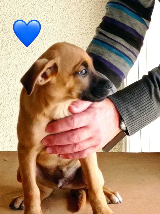 Bebés para adoção responsável 
Bebés para adoção responsável