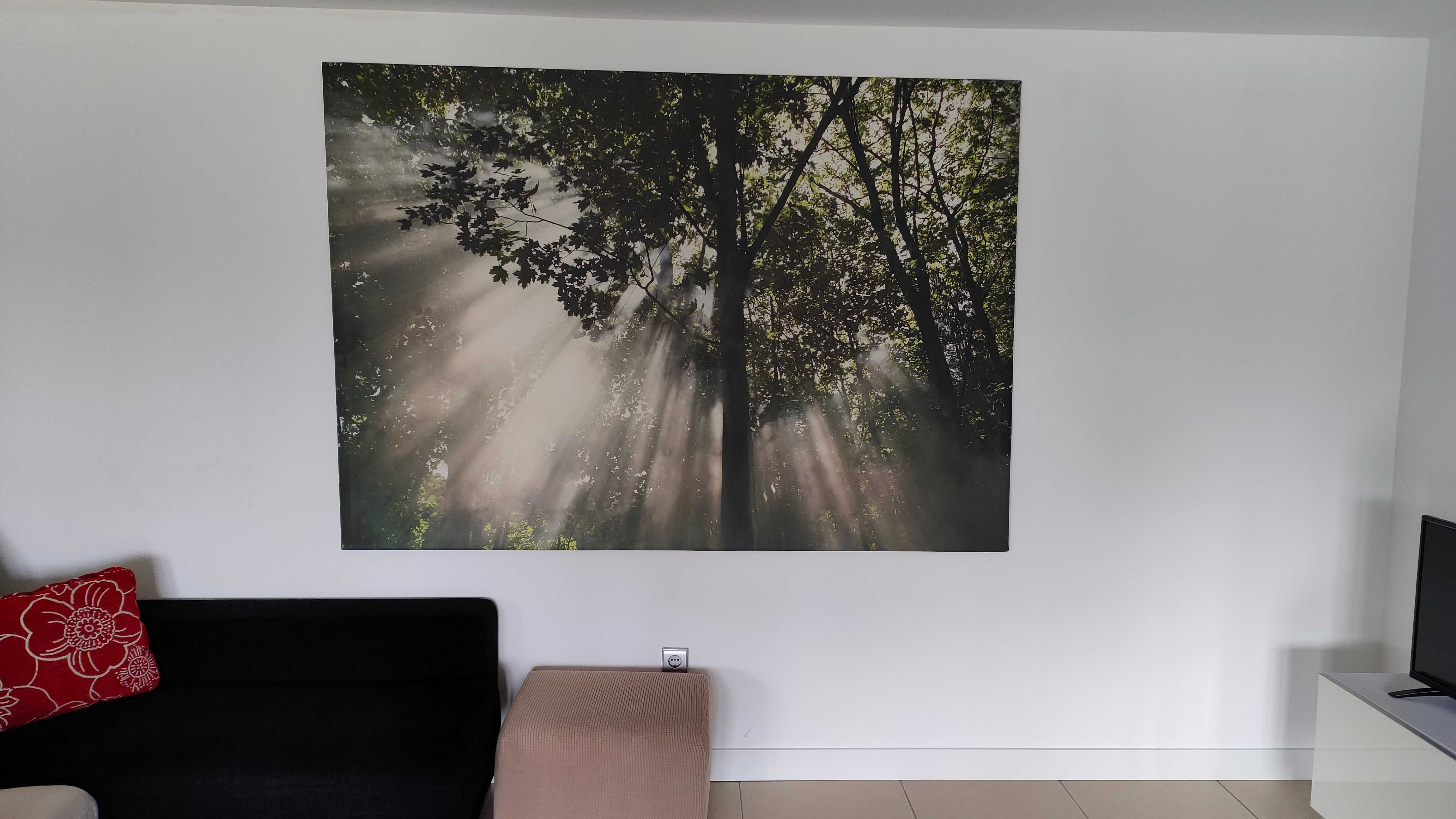 Quadro de fotografia em tela, dimensão 200cm X 140cm, Natureza
