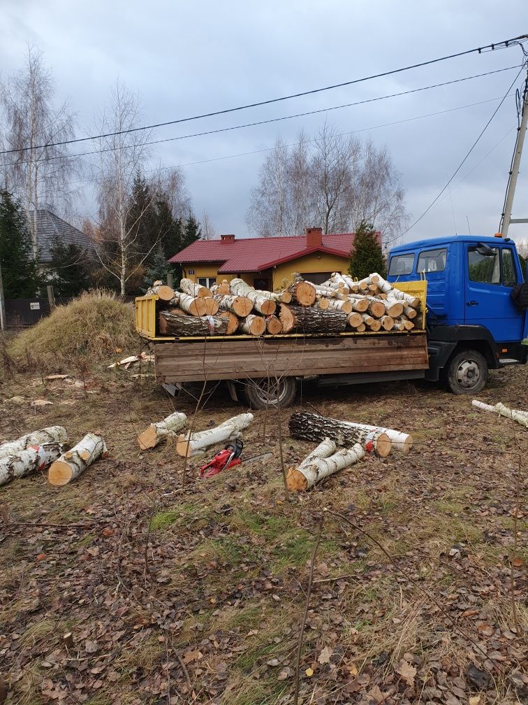 Wycinka pielęgnacja drzew podnośnik rębak czyszczenie działek