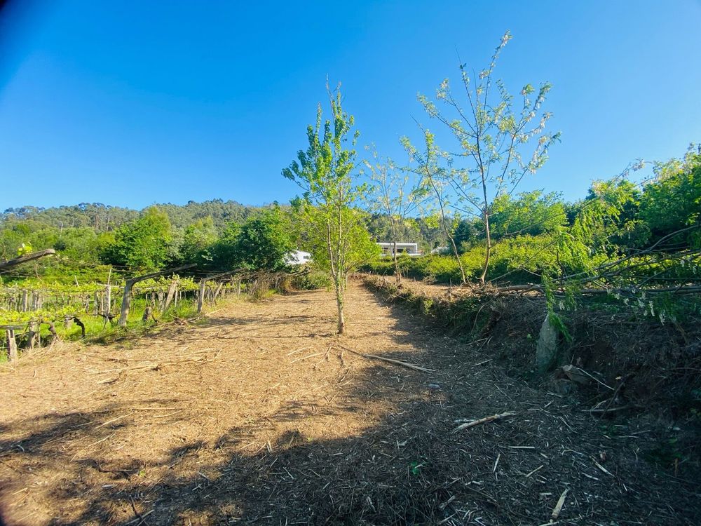 Terreno com vista rio