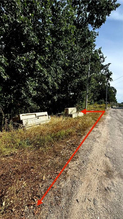 Лісники-одна з найкращих локацій Київської області