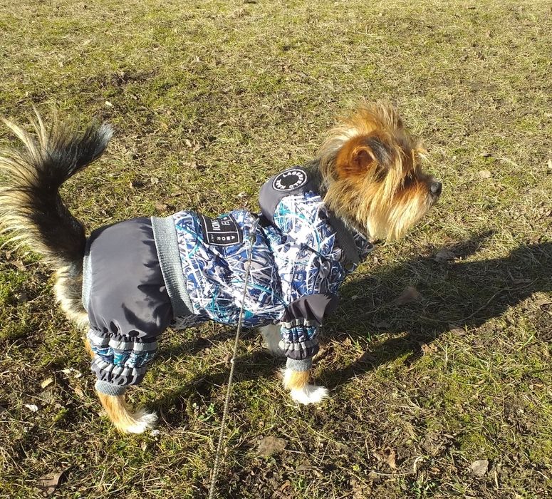 Зимовий комбінезон для собаки