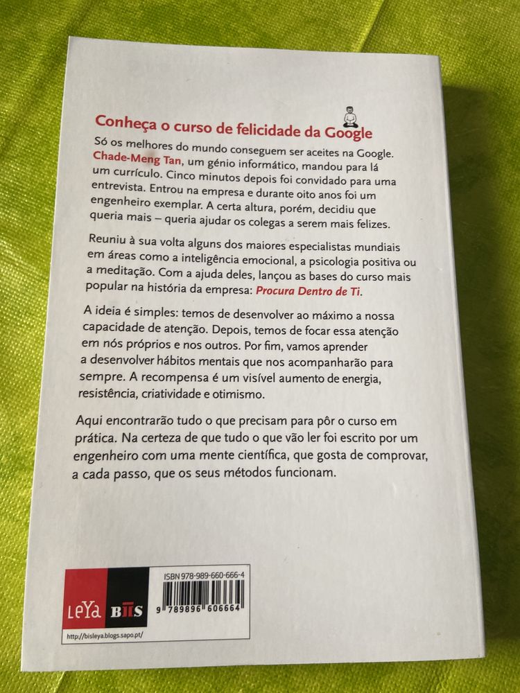 Livro Procura dentro de ti LIVRO NOVO