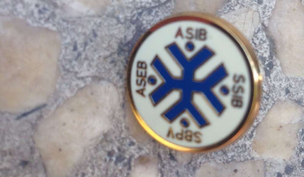 Vendo Pin's Novos