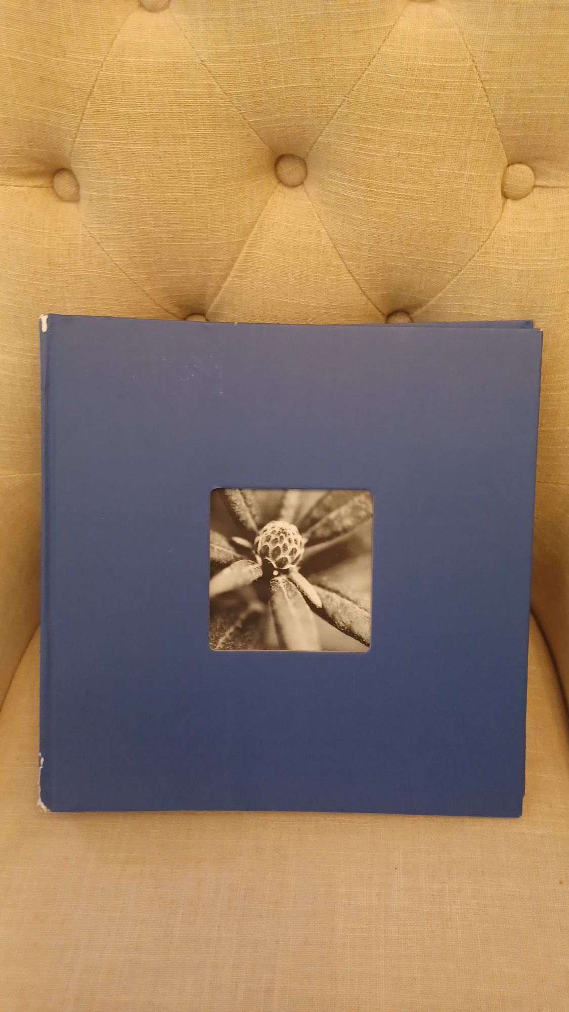 Hama Album fotograficzny Jumbo 30 x 30 cm książka 100  stron defekt