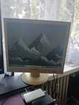 Monitor Philips 170S 17"