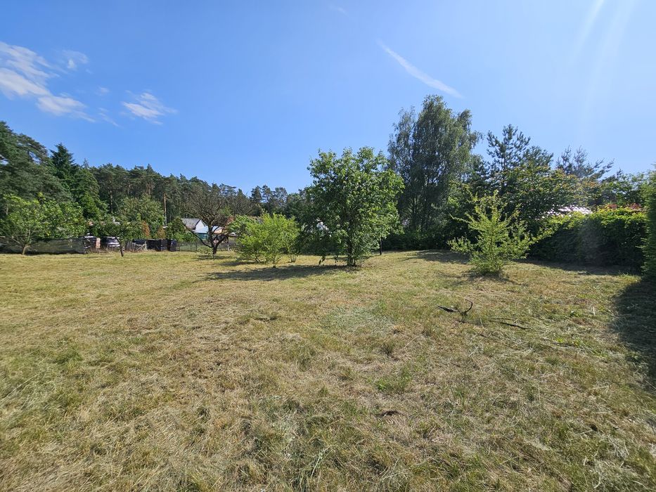 Działka z zabudowaniami w Tanowie -1700m² dom i ogród z potencjałem.