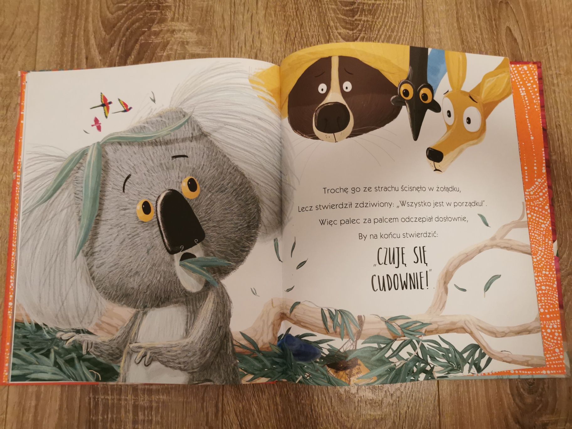 Koala, który się trzymał