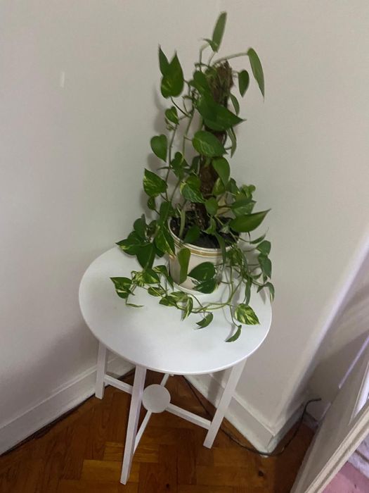 Movel decorativo branco redondo