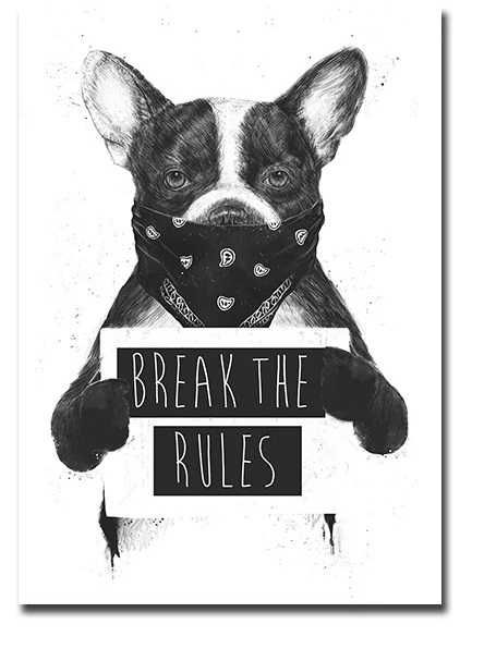 Obraz Canvas artystyczny buldog pies mops Break The Rules 105x70cm
